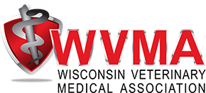 logo_290 wvma